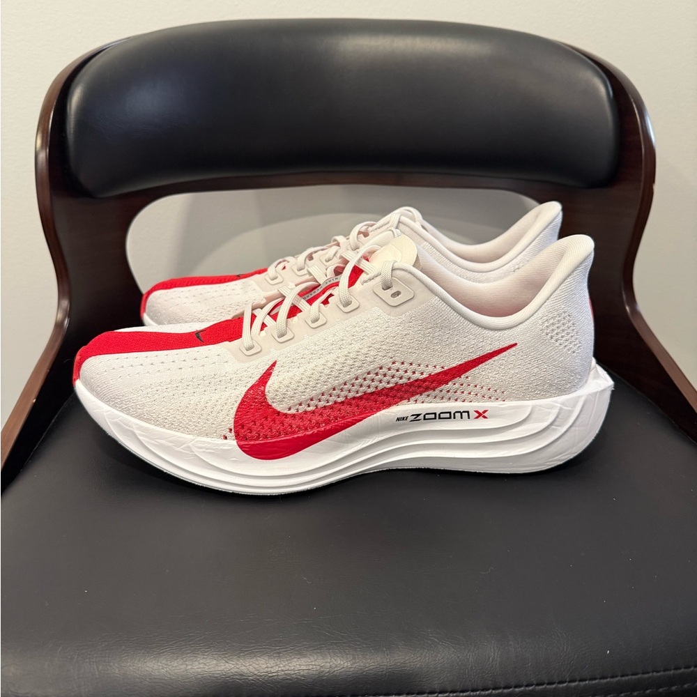 Nike ZoomX Pegasus Plus Running Shoe